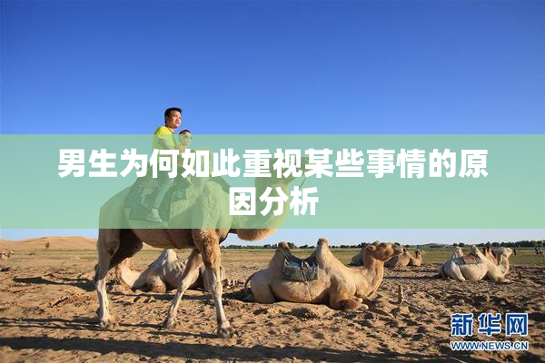 男生为何如此重视某些事情的原因分析