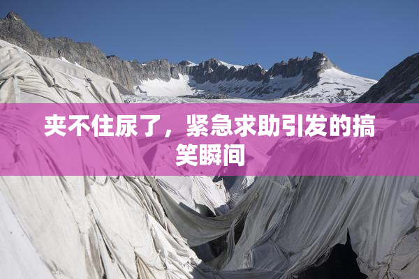 夹不住尿了，紧急求助引发的搞笑瞬间
