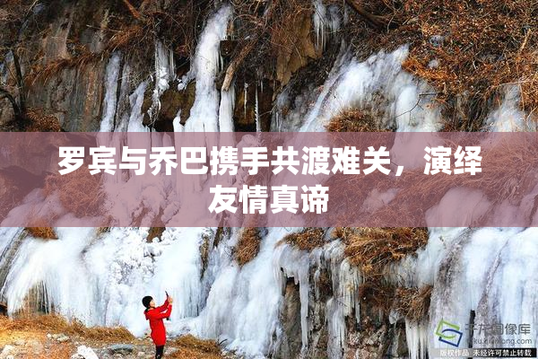 罗宾与乔巴携手共渡难关，演绎友情真谛