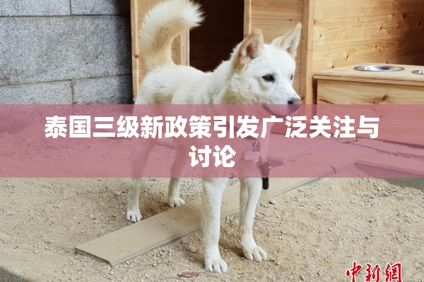 泰国三级新政策引发广泛关注与讨论
