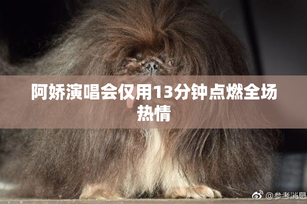阿娇演唱会仅用13分钟点燃全场热情