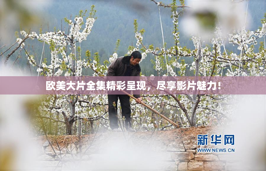 欧美大片全集精彩呈现，尽享影片魅力！