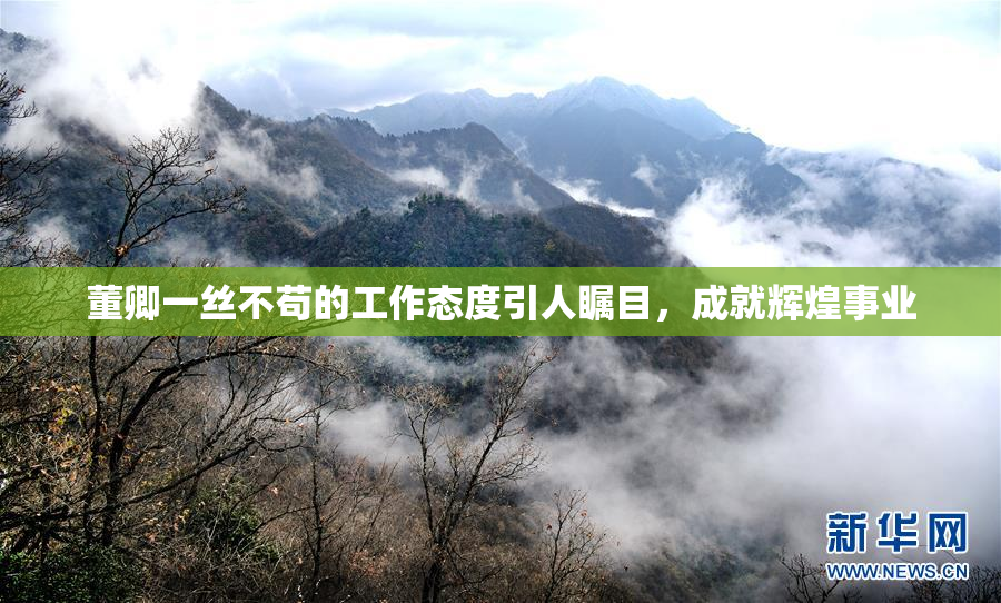 董卿一丝不苟的工作态度引人瞩目，成就辉煌事业