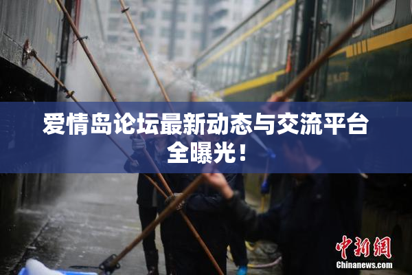 爱情岛论坛最新动态与交流平台全曝光！