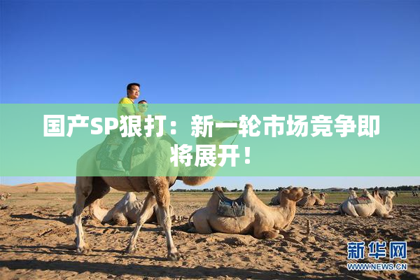 国产SP狠打：新一轮市场竞争即将展开！