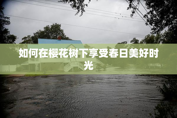如何在樱花树下享受春日美好时光