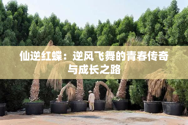 仙逆红蝶：逆风飞舞的青春传奇与成长之路