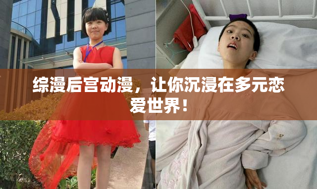 综漫后宫动漫，让你沉浸在多元恋爱世界！