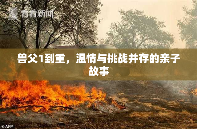 兽父1到重，温情与挑战并存的亲子故事