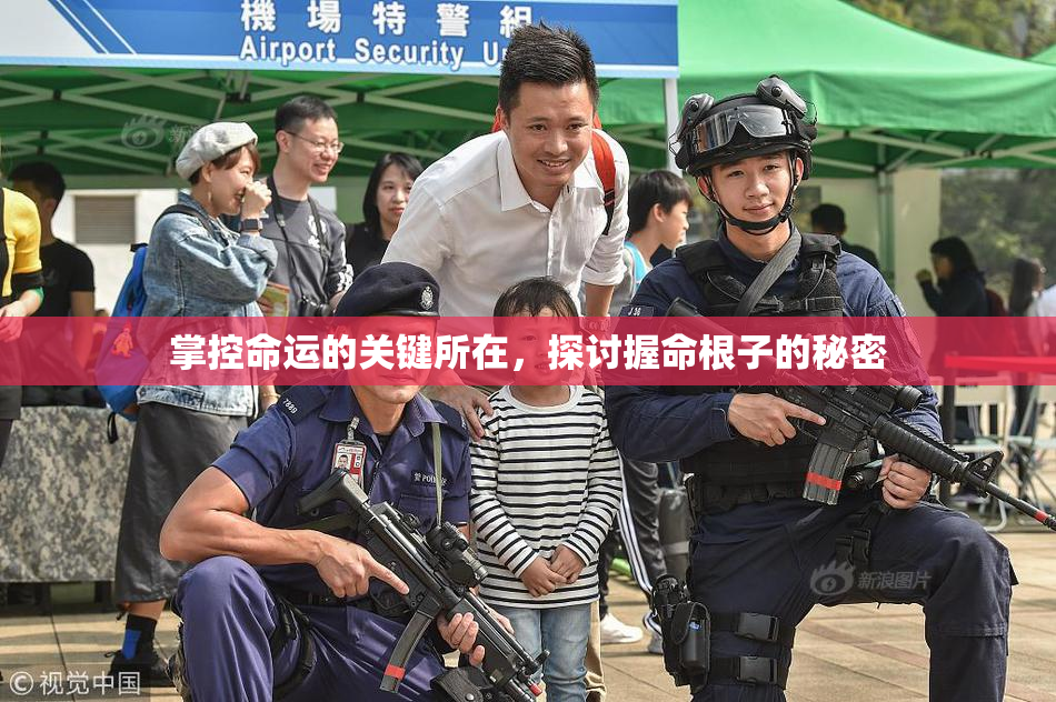 掌控命运的关键所在，探讨握命根子的秘密