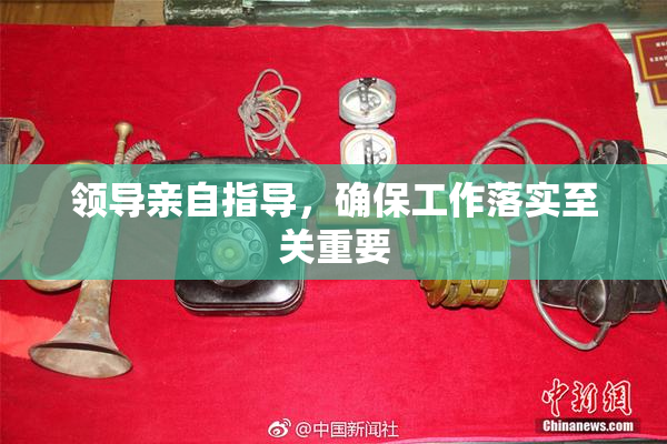 领导亲自指导，确保工作落实至关重要