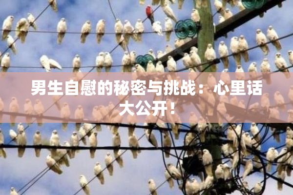 男生自慰的秘密与挑战：心里话大公开！