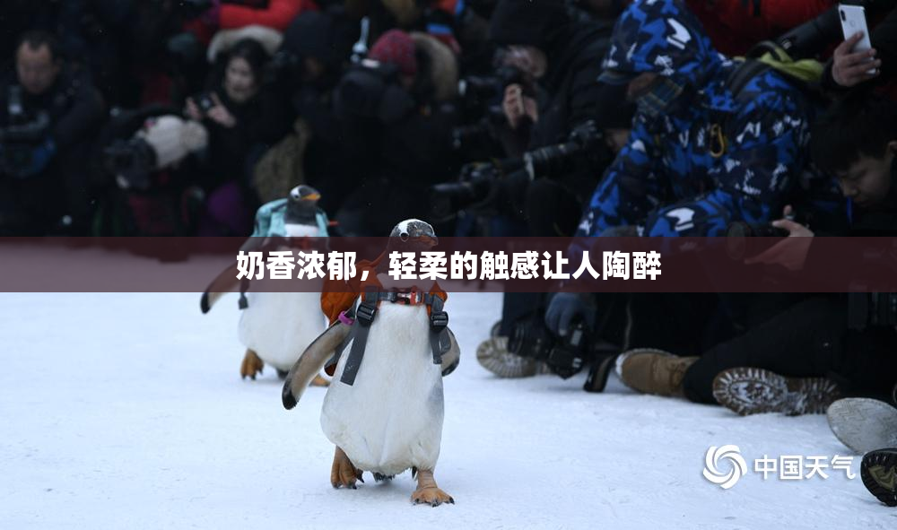 奶香浓郁，轻柔的触感让人陶醉