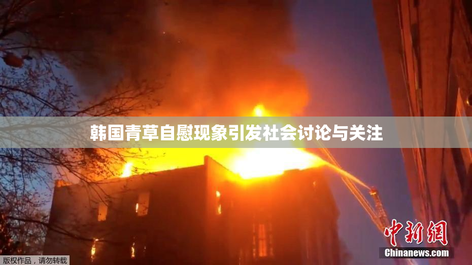 韩国青草自慰现象引发社会讨论与关注