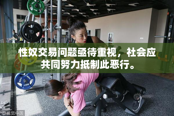 性奴交易问题亟待重视，社会应共同努力抵制此恶行。