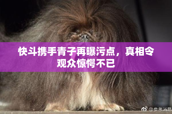 快斗携手青子再曝污点，真相令观众惊愕不已