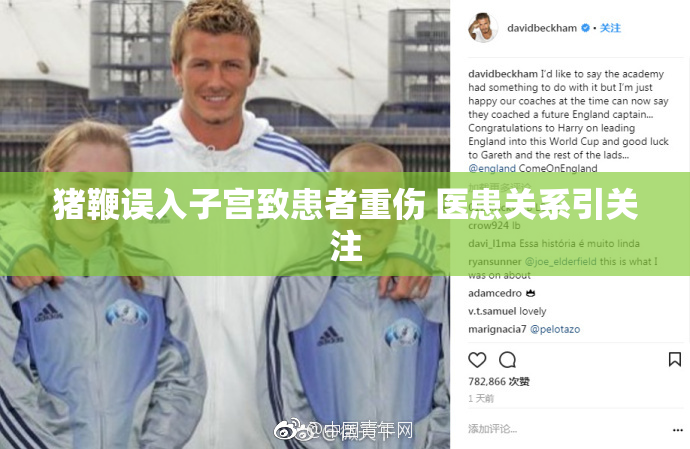 猪鞭误入子宫致患者重伤 医患关系引关注