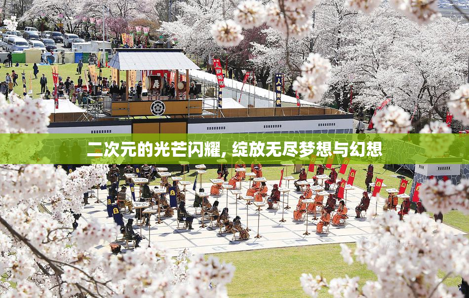 二次元的光芒闪耀, 绽放无尽梦想与幻想