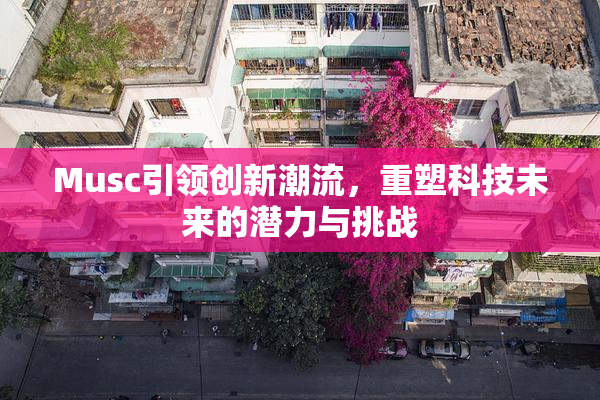 Musc引领创新潮流，重塑科技未来的潜力与挑战