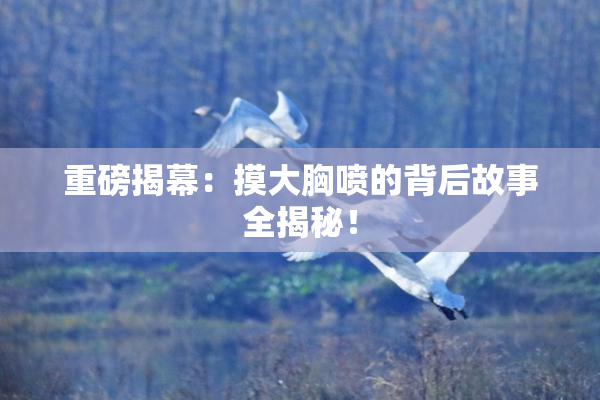 重磅揭幕：摸大胸喷的背后故事全揭秘！