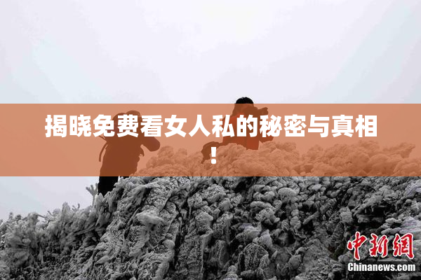 揭晓免费看女人私的秘密与真相！