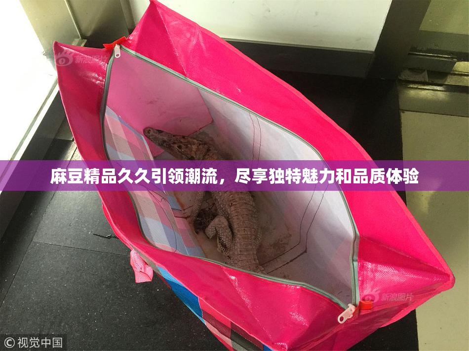 麻豆精品久久引领潮流，尽享独特魅力和品质体验