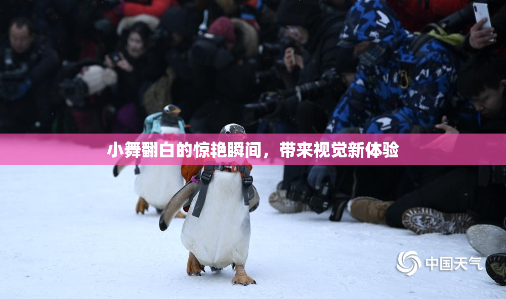小舞翻白的惊艳瞬间，带来视觉新体验