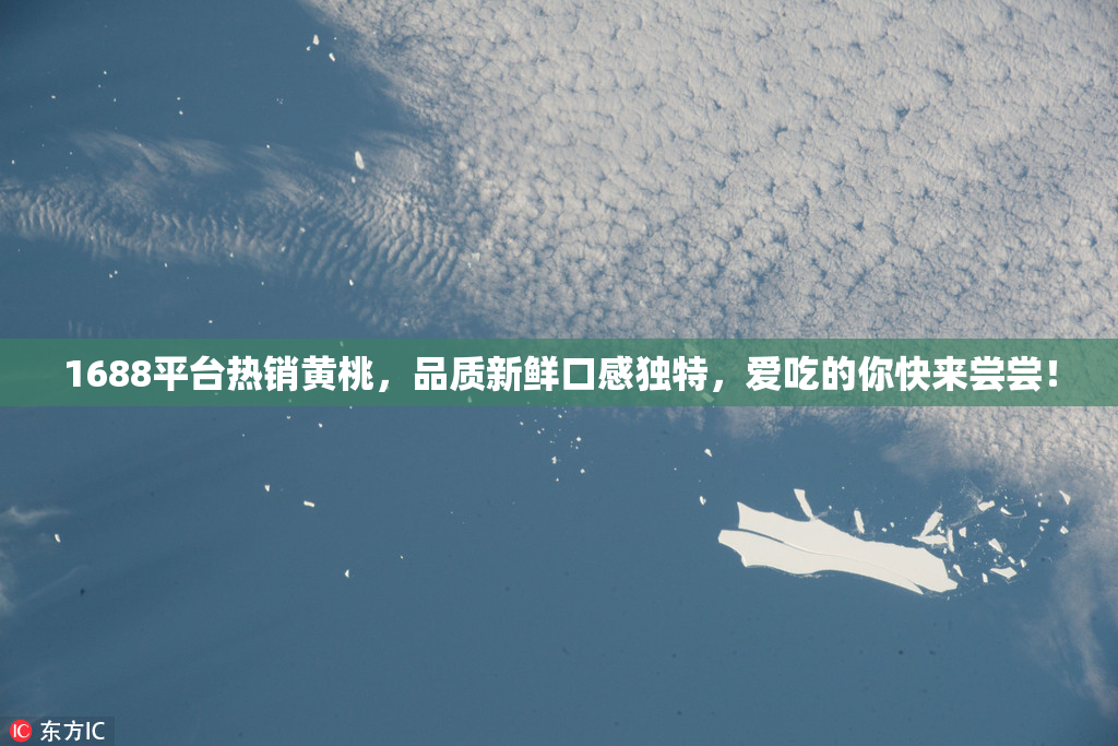 1688平台热销黄桃，品质新鲜口感独特，爱吃的你快来尝尝！