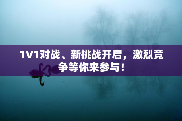 1V1对战、新挑战开启，激烈竞争等你来参与！