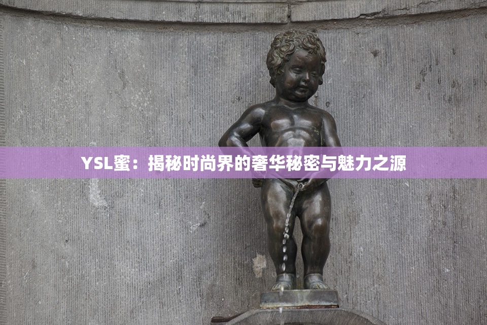 YSL蜜：揭秘时尚界的奢华秘密与魅力之源