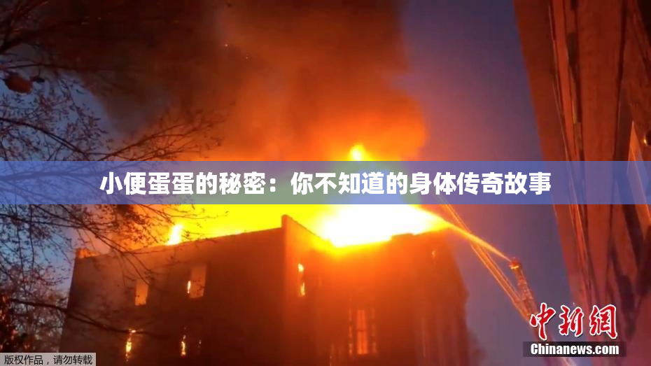 小便蛋蛋的秘密：你不知道的身体传奇故事