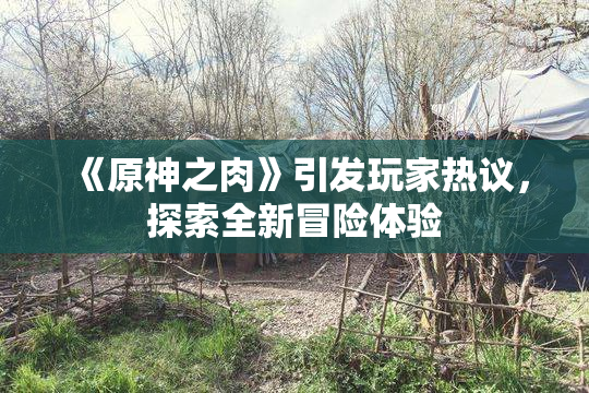 《原神之肉》引发玩家热议，探索全新冒险体验