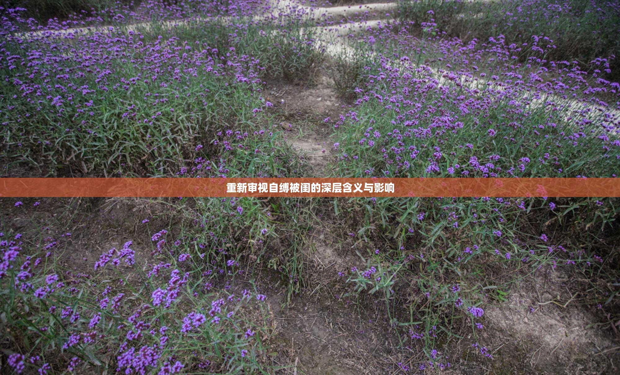 重新审视自缚被闺的深层含义与影响
