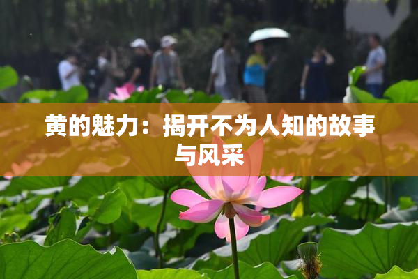 黄的魅力：揭开不为人知的故事与风采