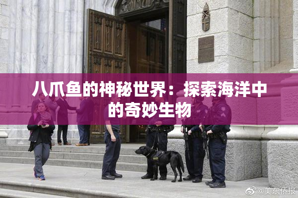 八爪鱼的神秘世界：探索海洋中的奇妙生物