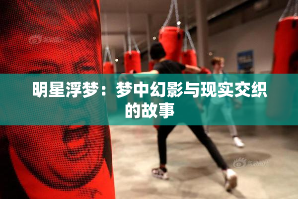 明星浮梦：梦中幻影与现实交织的故事