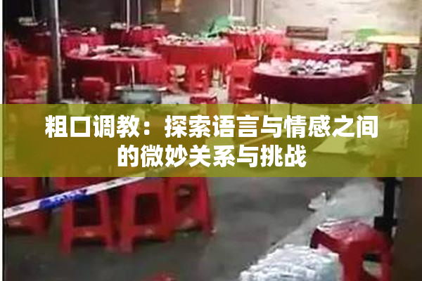 粗口调教：探索语言与情感之间的微妙关系与挑战