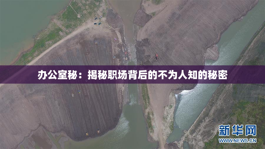 办公室秘：揭秘职场背后的不为人知的秘密