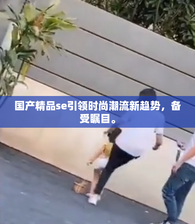 国产精品se引领时尚潮流新趋势，备受瞩目。