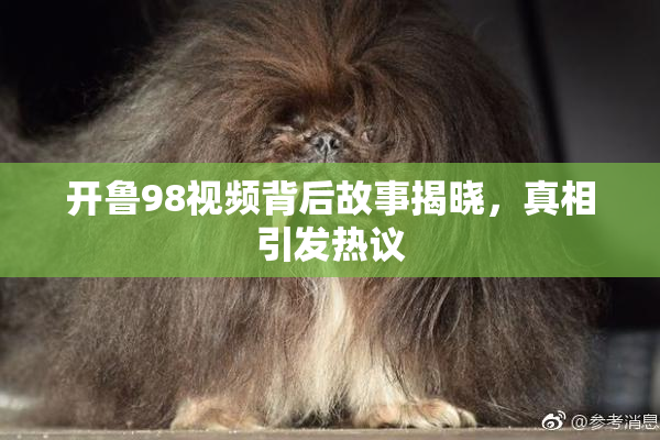 开鲁98视频背后故事揭晓，真相引发热议