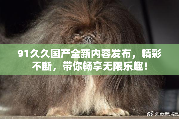 91久久国产全新内容发布，精彩不断，带你畅享无限乐趣！