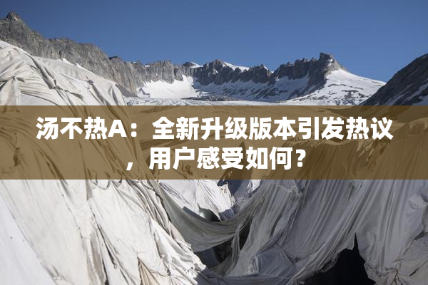 汤不热A：全新升级版本引发热议，用户感受如何？
