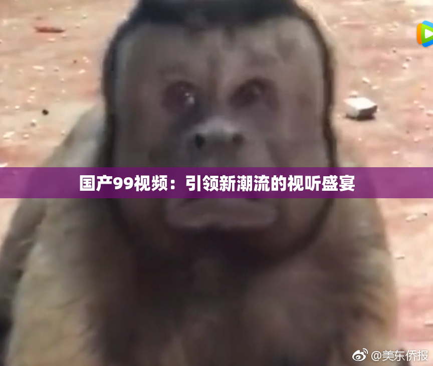 国产99视频：引领新潮流的视听盛宴