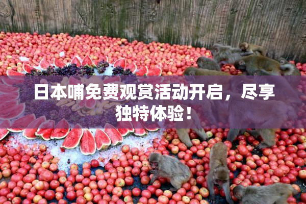 日本哺免费观赏活动开启，尽享独特体验！