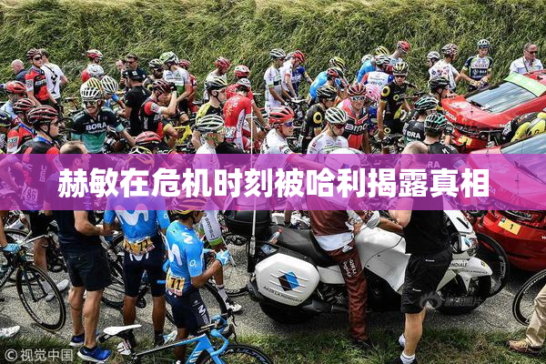 赫敏在危机时刻被哈利揭露真相