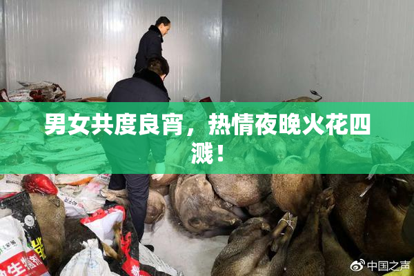 男女共度良宵，热情夜晚火花四溅！