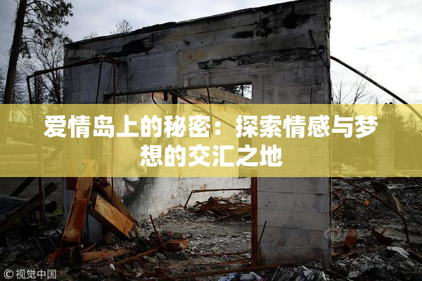 爱情岛上的秘密：探索情感与梦想的交汇之地