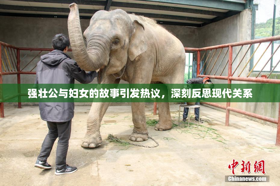 强壮公与妇女的故事引发热议，深刻反思现代关系