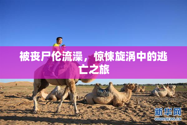 被丧尸伦流澡，惊悚旋涡中的逃亡之旅