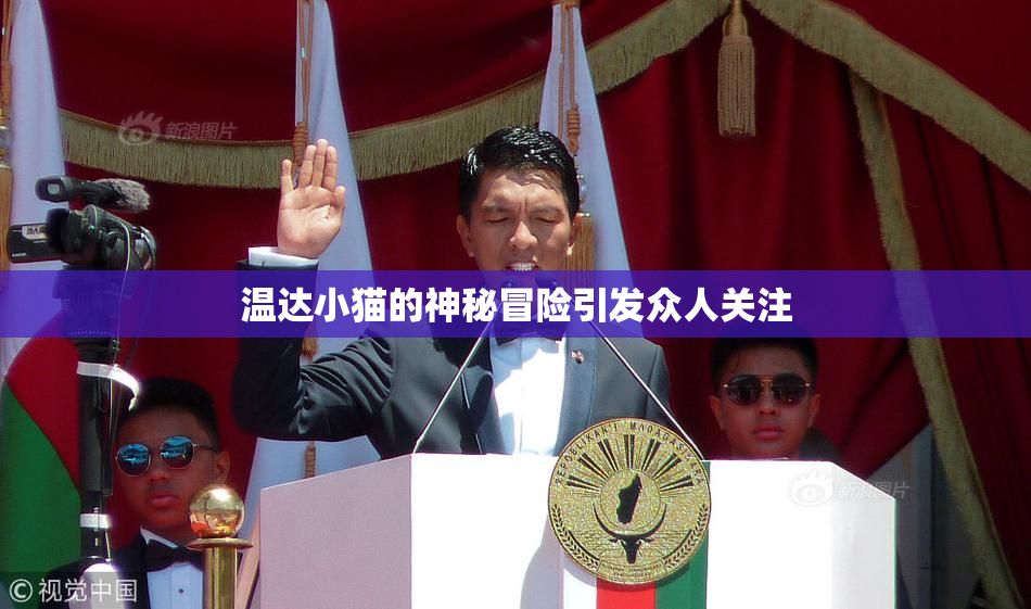 温达小猫的神秘冒险引发众人关注